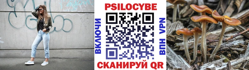 Псилоцибиновые грибы мицелий  закладка  Верхнеуральск 